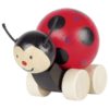 GOKI Push-Along Ladybird Filie
