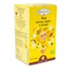Hari tee Hommik, Ayurveda tee valge hibiskuse, ingveri ja õunaga 16tk ÖKO